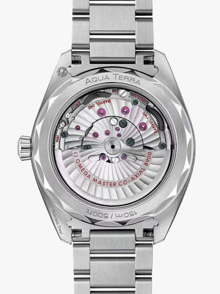 Omega SEAMASTER AQUA TERRA 150M 41 mm