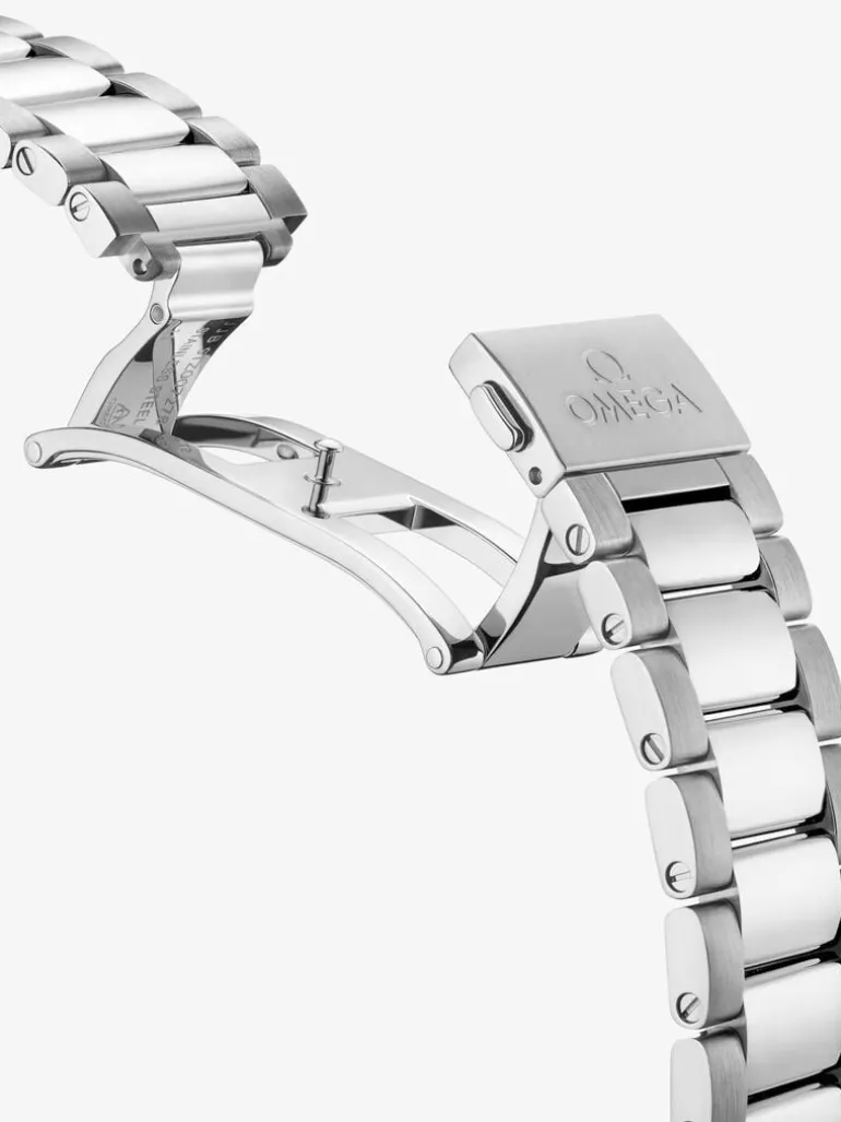 Omega SEAMASTER AQUA TERRA 150M 41 mm