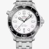 Omega SEAMASTER DIVER 300M 42 mm