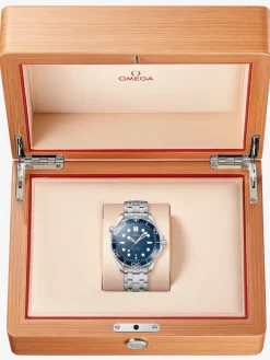 Omega SEAMASTER DIVER 300M 42 mm